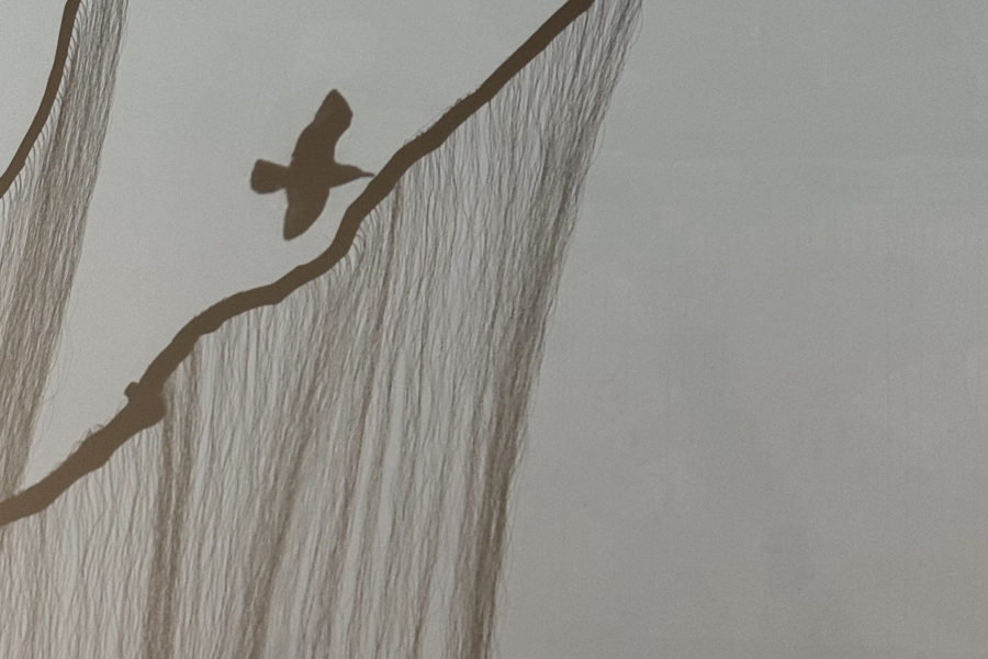sutra for belonging multimedia installation